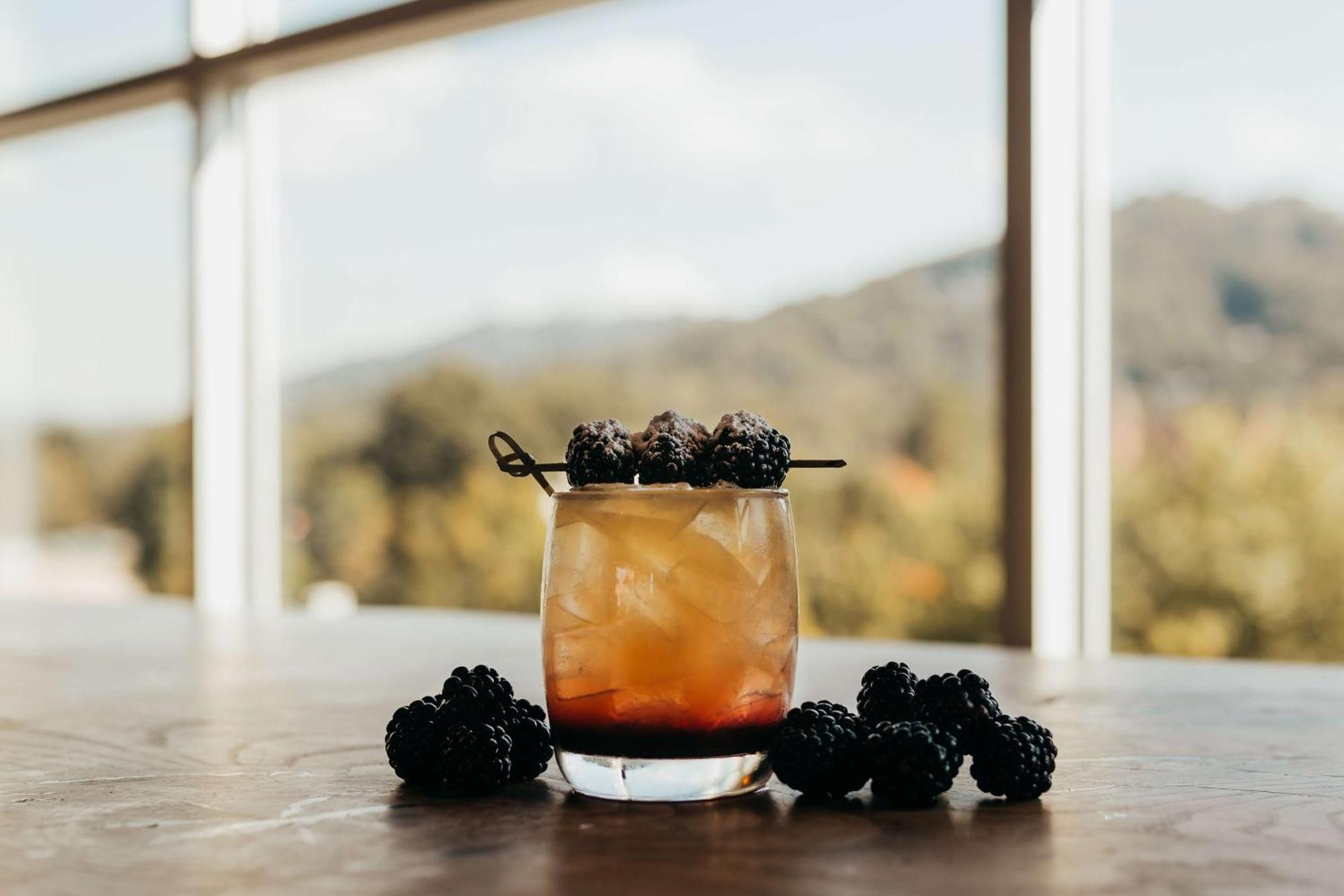 Hilton Garden Inn Asheville Downtown Εξωτερικό φωτογραφία